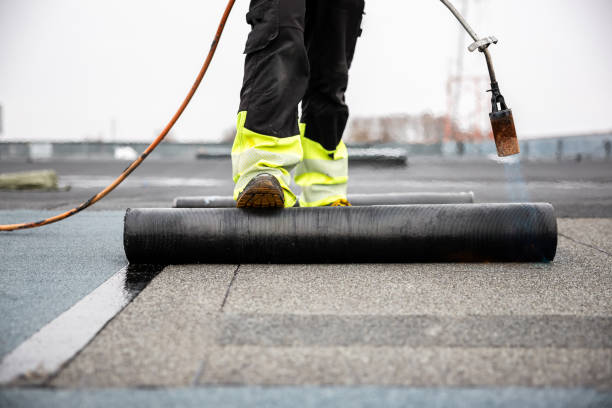 Best Roof Moss and Algae Removal  in Fulton, KY